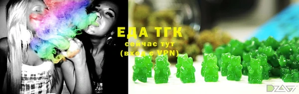 стаф Аркадак