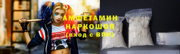 стаф Аркадак