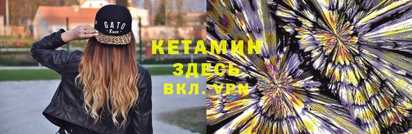 сатива Армянск