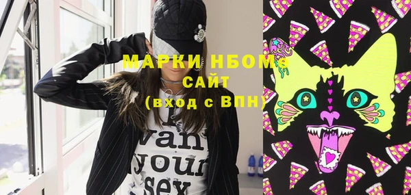 стаф Аркадак