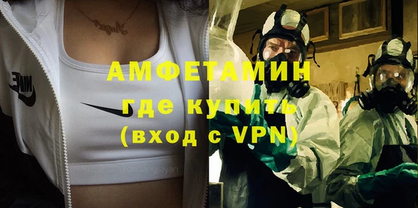 стаф Аркадак