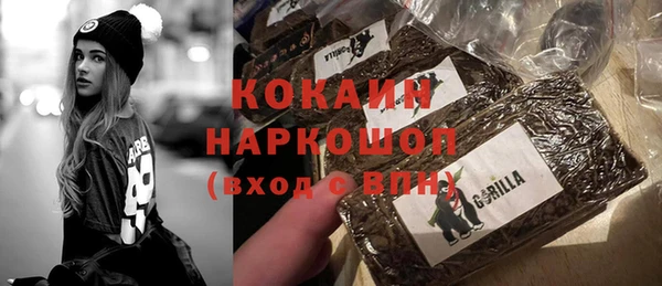 стаф Аркадак