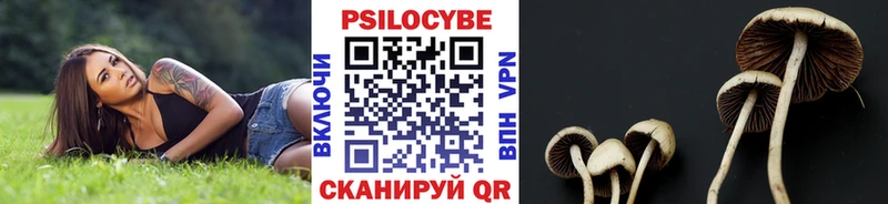 Галлюциногенные грибы MAGIC MUSHROOMS  дарнет шоп  мега как зайти  Реутов 