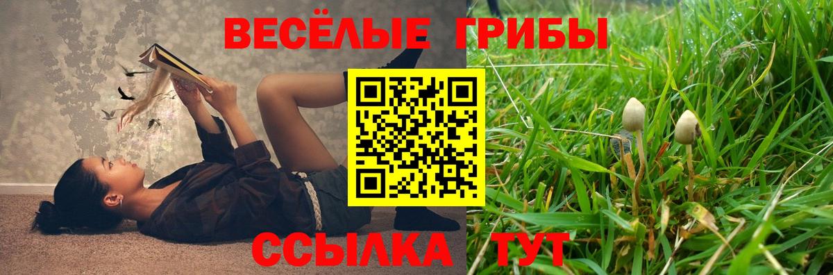 Галлюциногенные грибы Cubensis  Вход с VPN  Реутов 