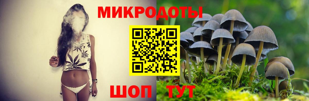 Псилоцибиновые грибы мицелий Реутов